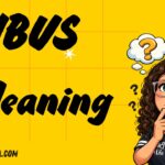 IBVS Meaning