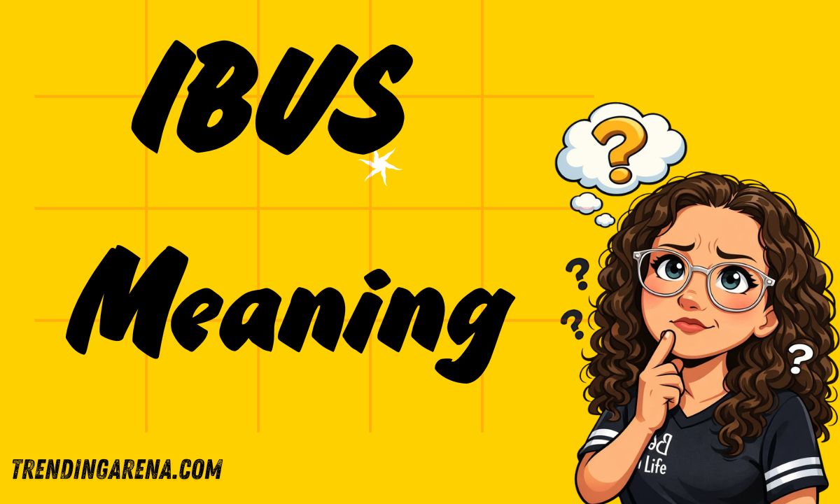 IBVS Meaning