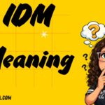 IDM Meaning