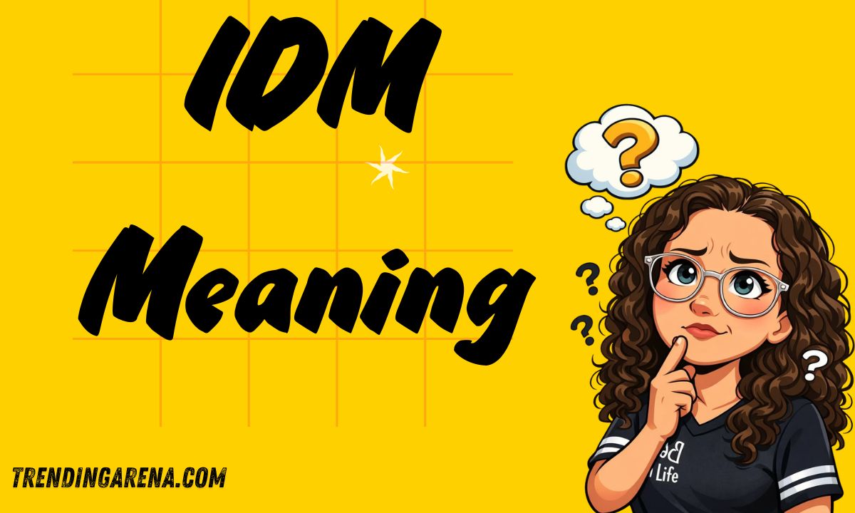 IDM Meaning