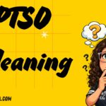 PTSO Meaning