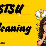 STSU Meaning