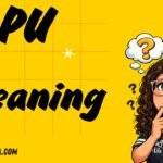 PU Meaning