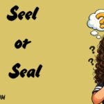 Seel or Seal