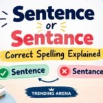 Sentence or Sentance: Correct Spelling Explained