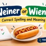 Weiner or Wiener Correct Spelling and Meaning